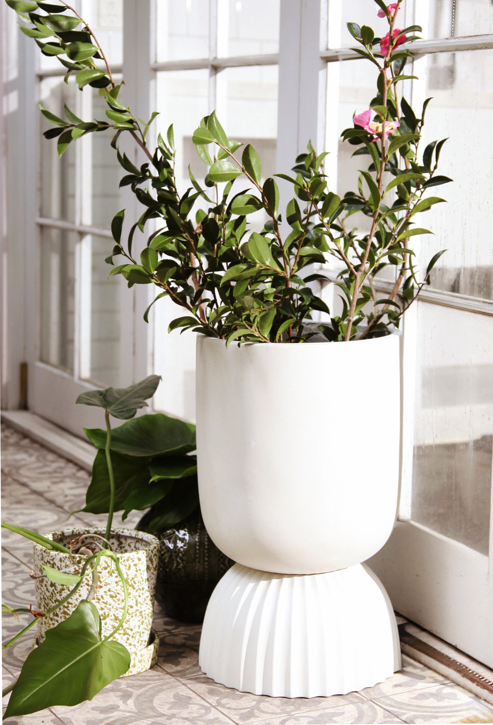 White ceramic planter with green plants on a tiled floor.